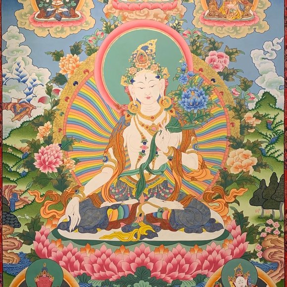 Meet your Posher, Quinton - Picture 1 of 1